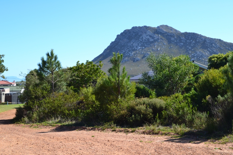 0 Bedroom Property for Sale in Pringle Bay Western Cape